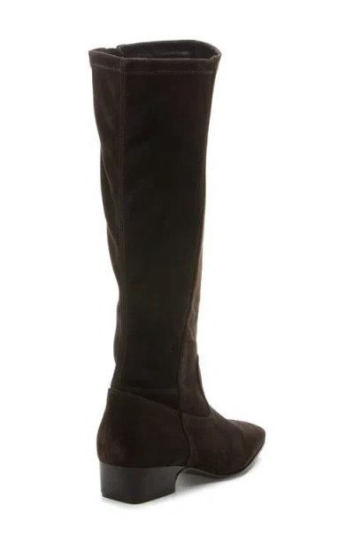 275 Central Dalia Water Repellent Knee High Boot In Brown