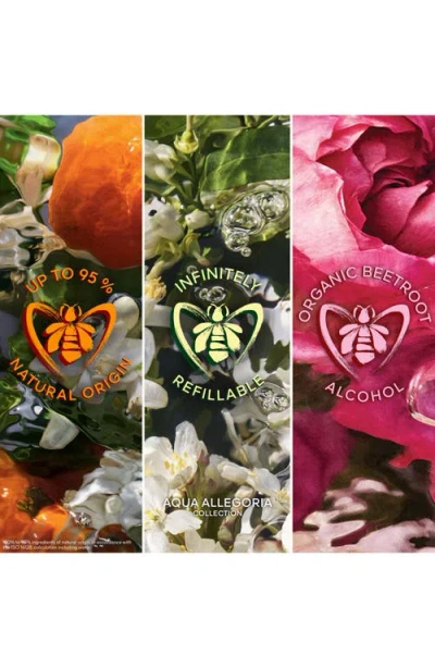 Guerlain Aqua Allegoria Mandarine Basilic Eau De Parfum Gift Set In Multi