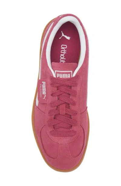 Puma Palermo Sneaker In Multi