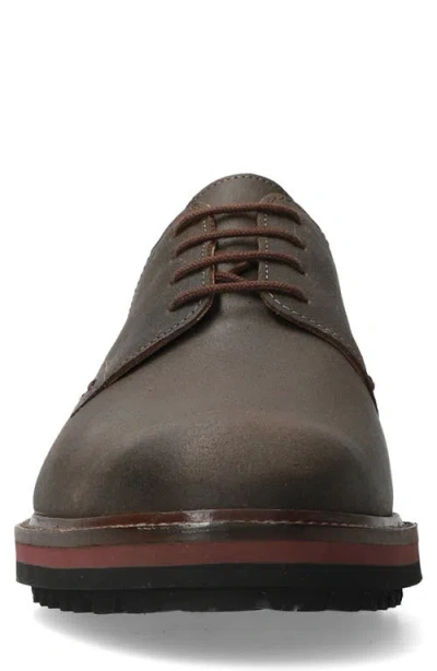 Mephisto Batiste Derby In Brown