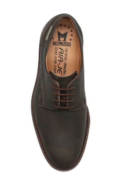 Mephisto Batiste Derby In Brown