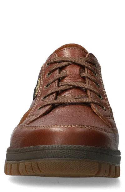 Mephisto 'paco' Waterproof Walking Sneaker In Brown