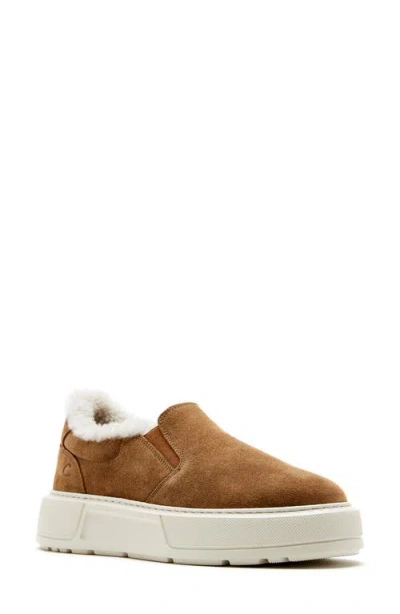 La Canadienne Valerie Genuine Shearling Lining Slip-on Sneaker In Brown