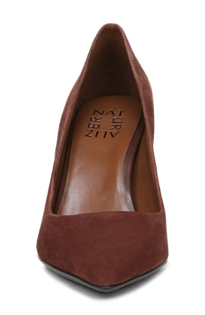 Naturalizer Women's Anna Pointed Toe Dress Pumps In Brown