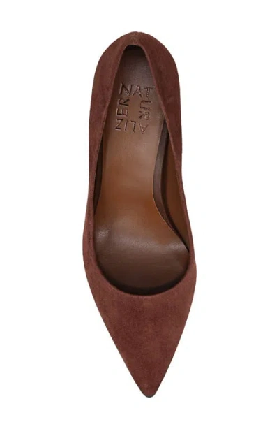 Naturalizer Women's Anna Pointed Toe Dress Pumps In Brown
