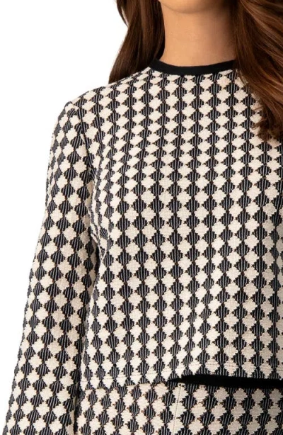 Ivonne Geometric Pattern Sheer Long Sleeve Top In Brown