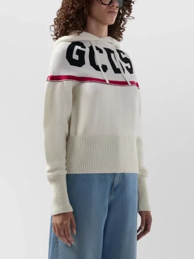 Gcds Hooded Sweater In Metallic