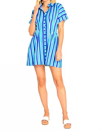 Elizabeth James The Label Haynes Mini Dress In French Blue Stripe In Blue