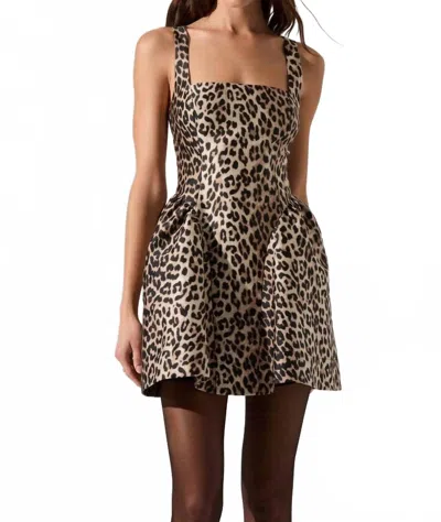 Astr The Label Claudie Sleeveless Minidress In Brown