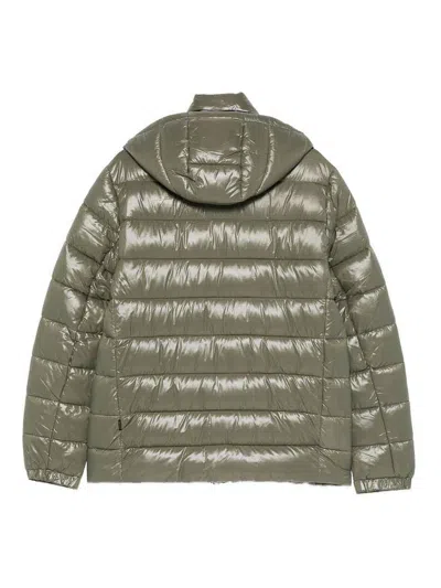 Save The Duck Giacconi Laurel Green In Multi