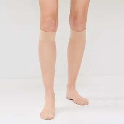 Stems 3-pack Sheer Knee High Socks In Black