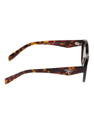 Prada Logo Sunglasses In Brown