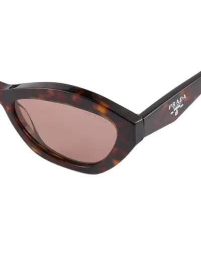 Prada Logo Sunglasses In Brown