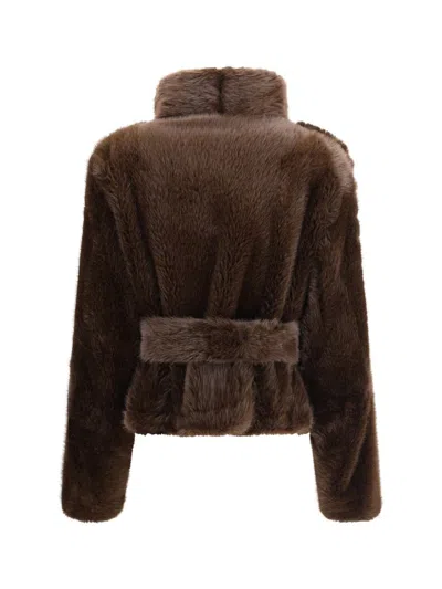 Darkpark Furs In Brown