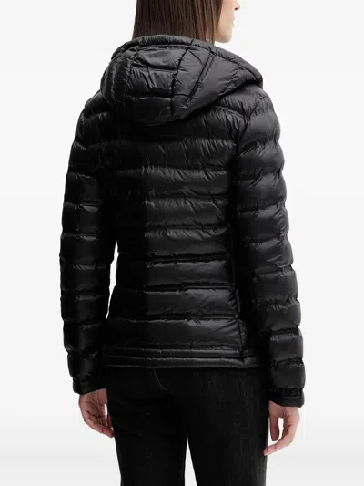 Blauer Ellis Hooded Padded Jacket In Black