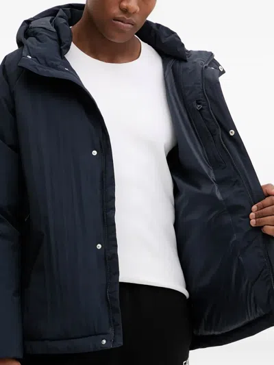 Ea7 Hooded-neckline Zip-fastening Jacket In Blue