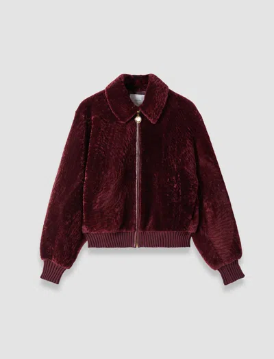 Joseph Alpes Short Hair Shearling Jacket In Red