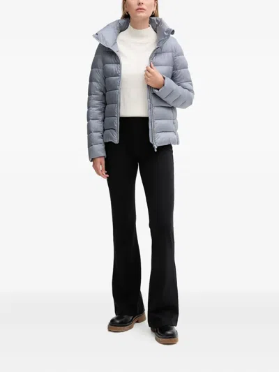 Save The Duck Elsie Padded Jacket In Gray