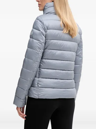 Save The Duck Elsie Padded Jacket In Gray