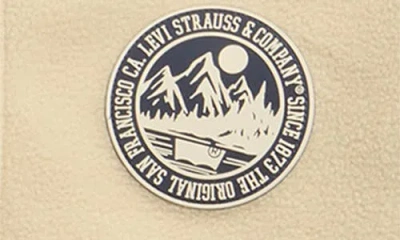 Levi's Kids' Pop Color Polar Fleece Pullover In Neutral