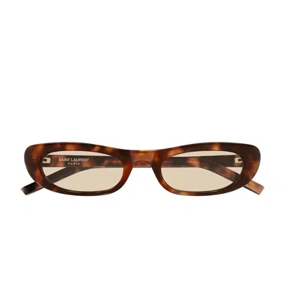 Saint Laurent Sl 557 Shade008-havana-havana-brown In Brown