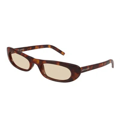 Saint Laurent Sl 557 Shade008-havana-havana-brown In Brown