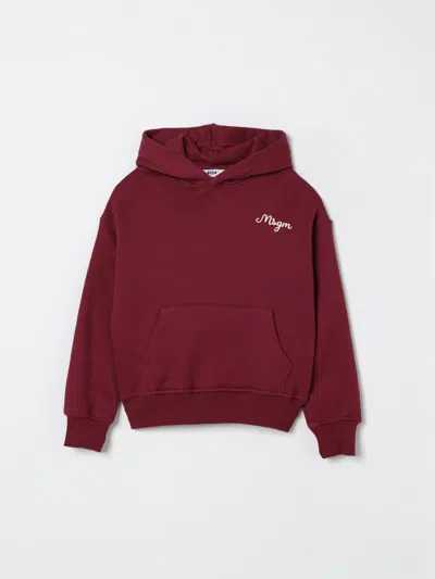 Msgm Embroidered-logo Hoodie In Multi