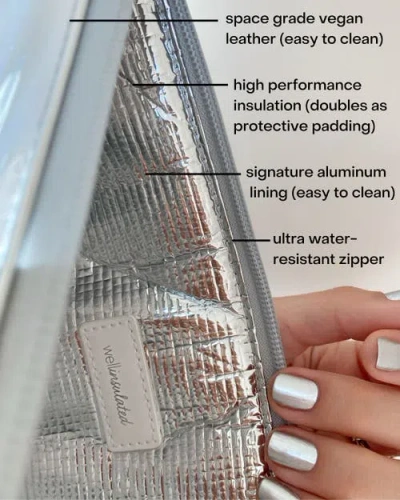 Wellinsulated Performance Pouch In Silver