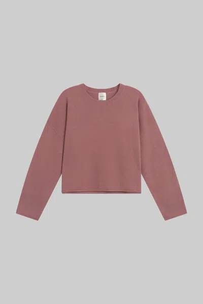 Leset Pre-order: Zoe Crew In Pink