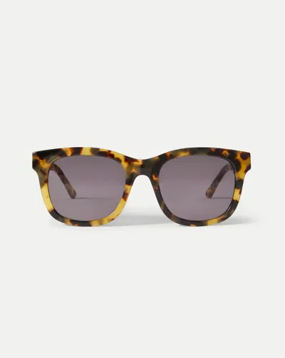Veronica Beard Jane Square-frame Sunglasses In Brown