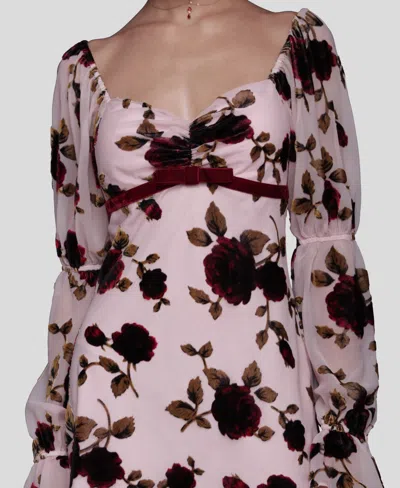 Avec Les Filles Victorian Sleeve Floral Mini Dress In Multi