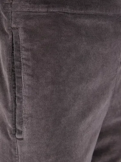 Cigala's Corduroy Trousers In Brown