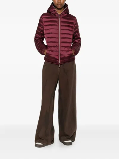 Save The Duck Alexis In Burgundy