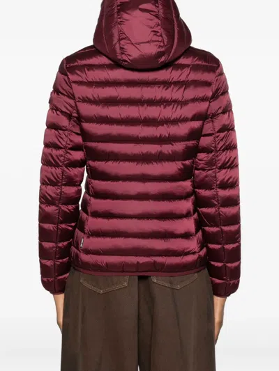 Save The Duck Alexis In Burgundy