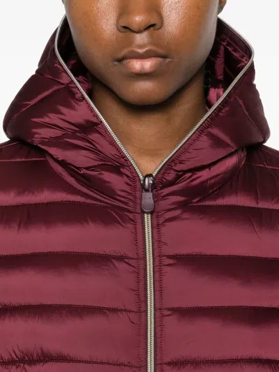 Save The Duck Alexis In Burgundy