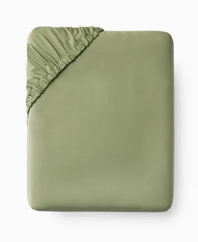Sferra Fiona Cotton Fitted Sheet, Twin In Green