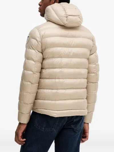 Blauer Hooded Jacket In Neutral