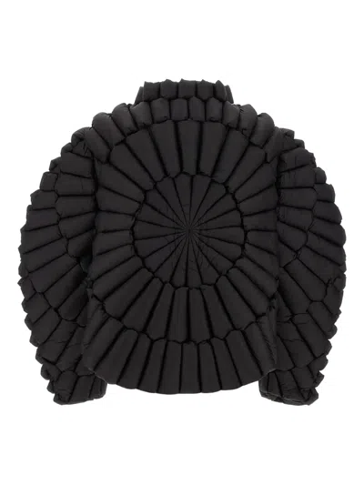 Raxxy Quilted Zip-front Padded Jacket In Black