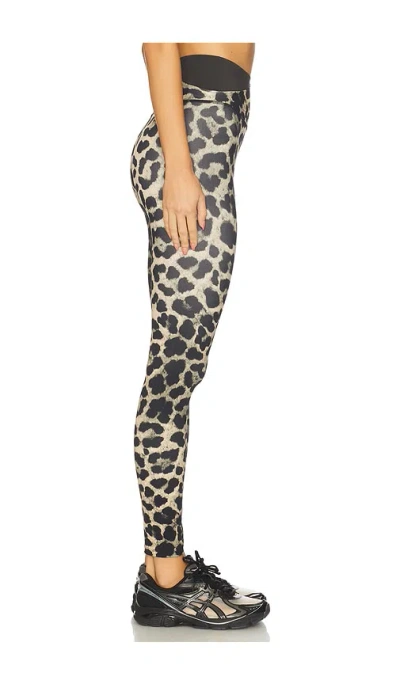 P.e Nation Wander Æ‰“åº•è£¤ Â€“ Leopard Print & Smokestone. Å°ºç � M (also Â€“ S, Xs, L, Xl). In Black