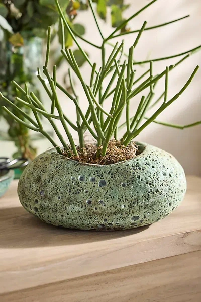 Terrain Barnacle Boulder Pot In Green