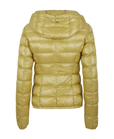 Herno Zipped Padded Jacket In Brown