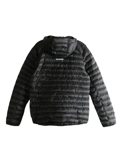 Mammut Hooded Quilted Jacket In Black