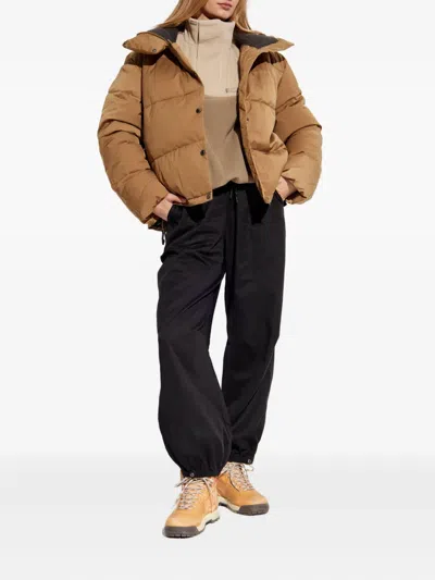 Rethinkit Studios Button Padded Puffer Jacket In Brown