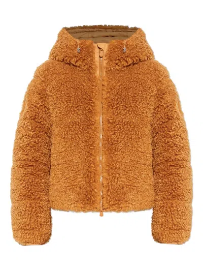 Save The Duck Hooded Zip Jacket In Brown