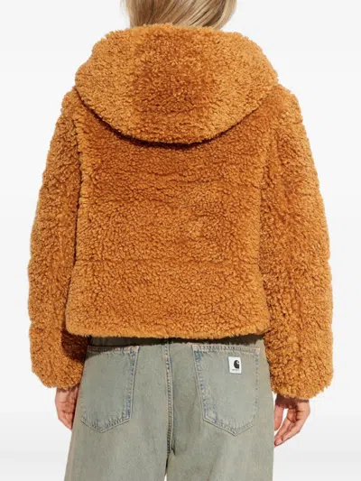 Save The Duck Hooded Zip Jacket In Brown