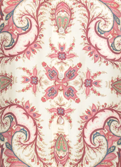 Etro Camicia Over In Cotone A Righe Con Stampa In White