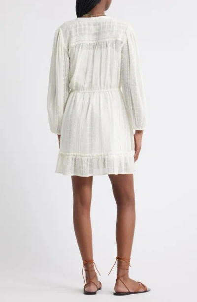 Treasure & Bond Embroidered Sheer Long Sleeve Minidress In White