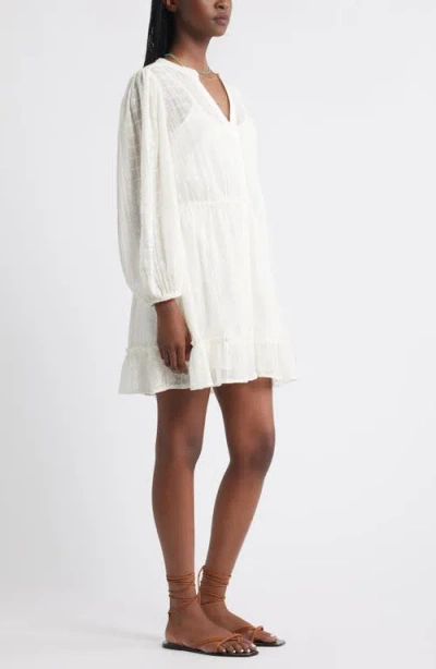 Treasure & Bond Embroidered Sheer Long Sleeve Minidress In White