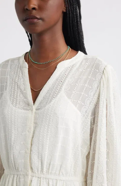 Treasure & Bond Embroidered Sheer Long Sleeve Minidress In White