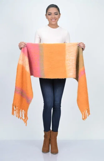 Vismaya Fringe Trim Scarf In Multi